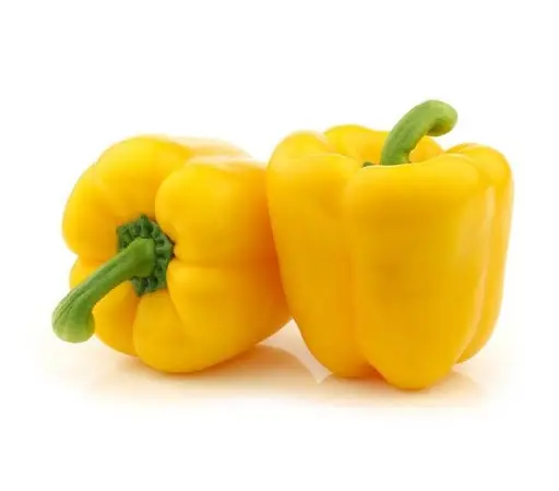 Продам перец болгарский сладкий желтый из Египта экспорт - фото № 1