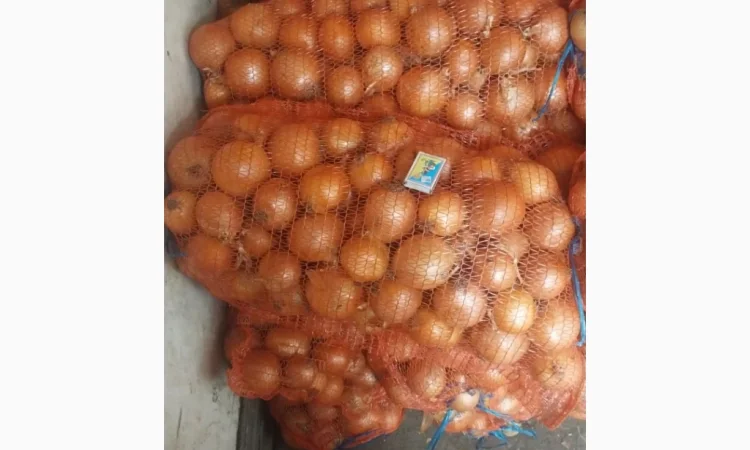 Цибуля пізніх сортів на продаж - фото № 7