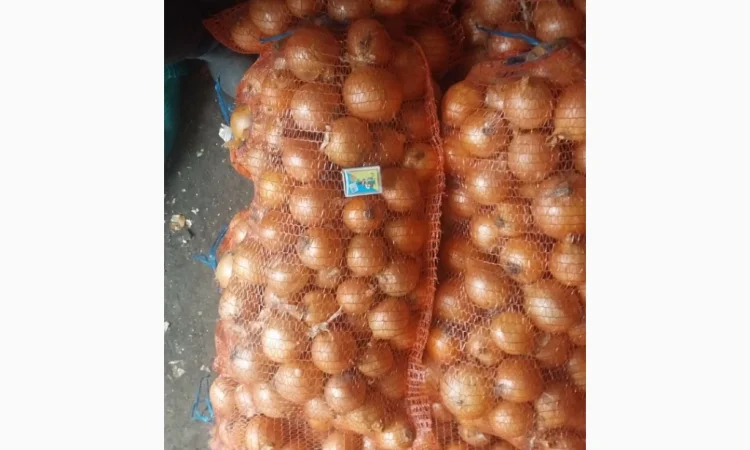 Цибуля пізніх сортів на продаж - фото № 8