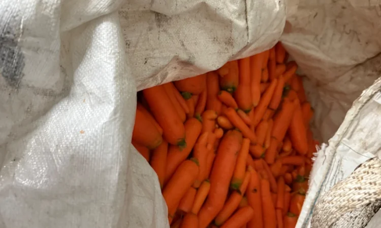 Продаж моркви 3 сорту мита - фото № 1