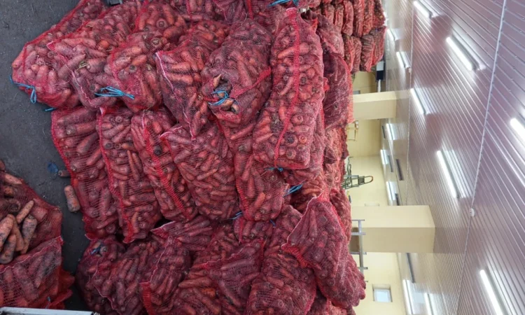 Продажа моркови по выгодной цене - фото № 1