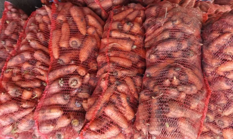 Продажа моркови по выгодной цене - фото № 2