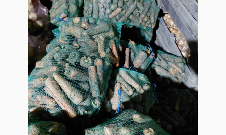 Продаж моркви 2 с, ломана - фото № 3