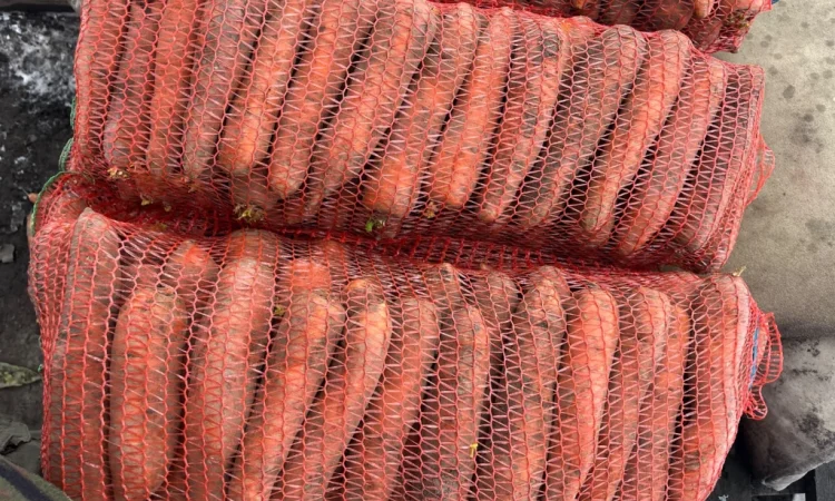 Продається якісна морква - фото № 2