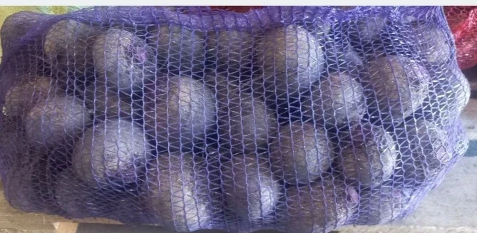 Продаю моркву, буряк та цибулю - фото № 1