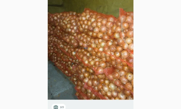 Продаю моркву, буряк та цибулю - фото № 4