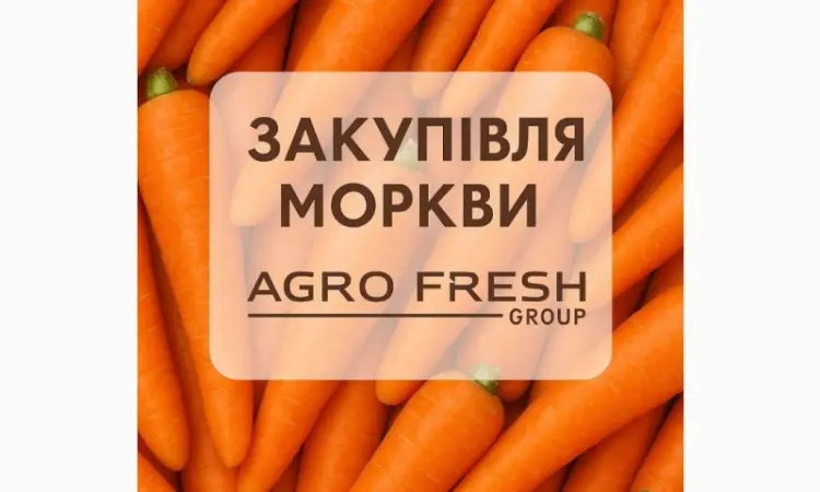 Закуповуємо моркву! ТОВ "Агрофреш груп" - фото № 1