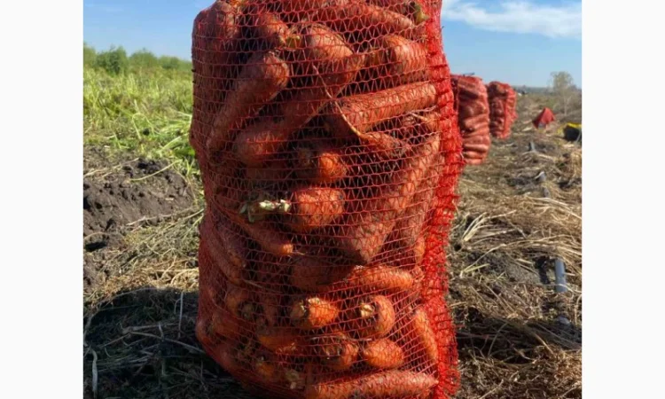 Куплю моркву недорого - фото № 1