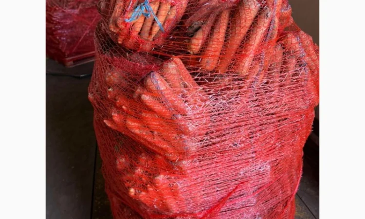 Продаж моркви немитої 1 сорт - фото № 1