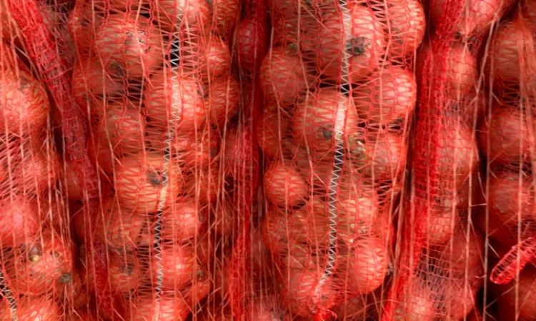 Цибуля нового поступлення на продаж - фото № 2