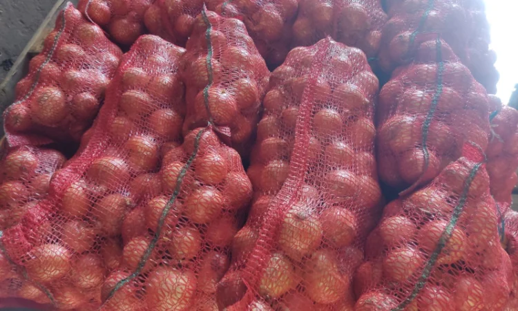 Продаю цибулю гарної якості - фото № 1