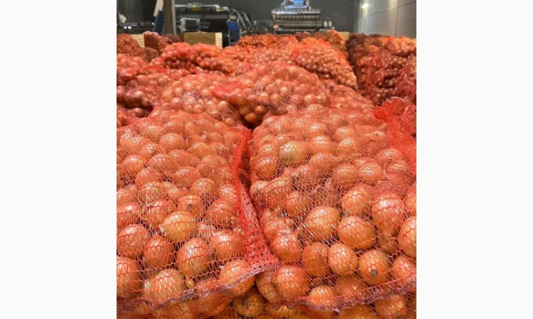 Цибуля першого гатунку на продаж - фото № 1