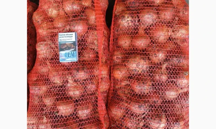 Продаж моркви та цибулі у Харкові - фото № 2