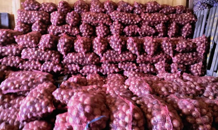 Продаю цибулю у Петриківці - фото № 1