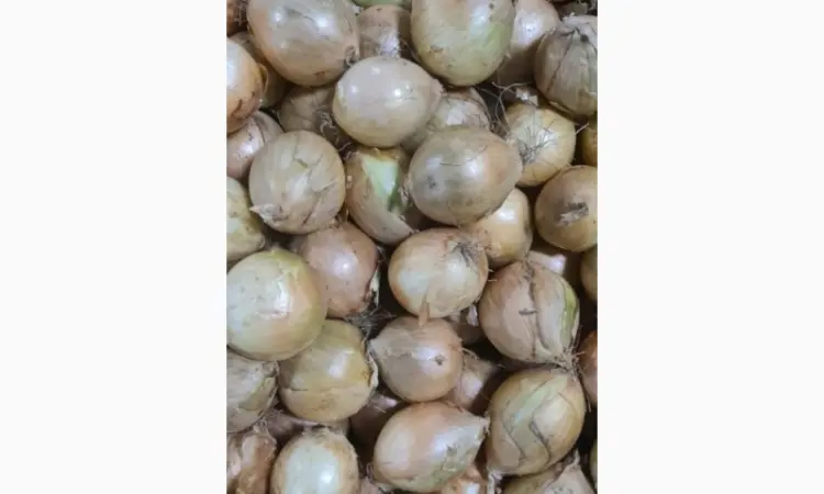 Продам лук из Польши 1 - фото № 5