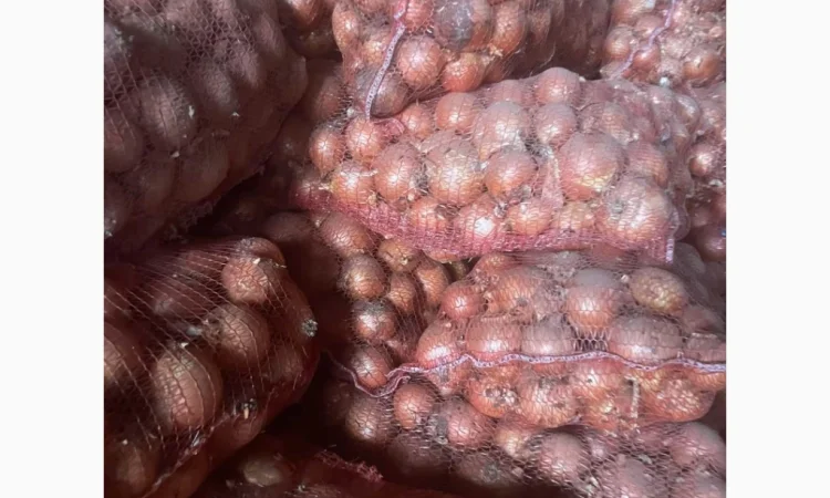 Продаж цибулі гарної якості - фото № 2