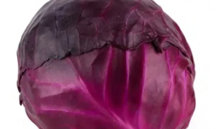 Продаж КАПУСТИ Червоноголової сорту Rodima - фото № 1