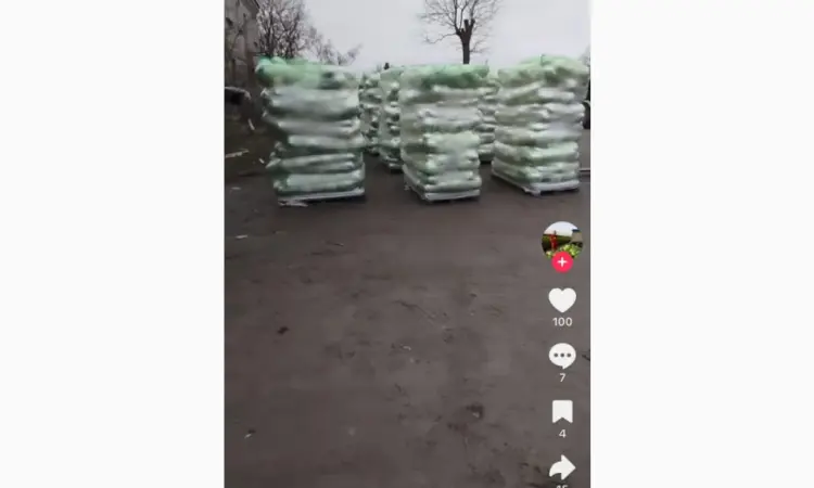 Продам капусту поздних сортов - фото № 1