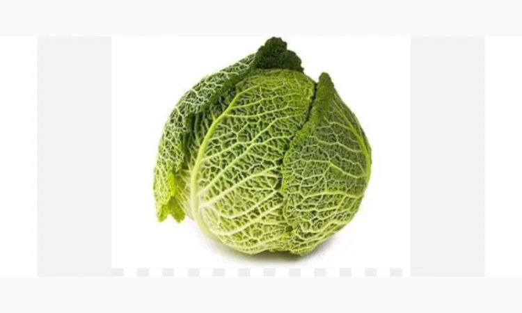 Продаж савойської капусти - фото № 1