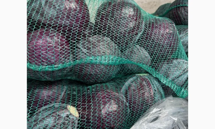 Червоннокачанна капуста оптом - фото № 3