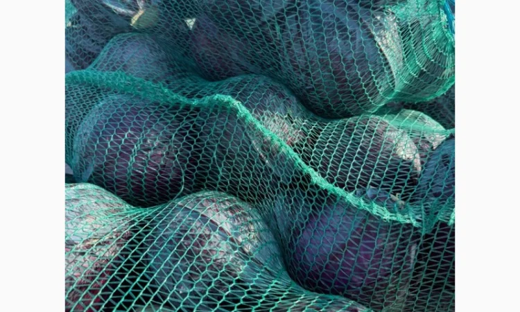 Червоннокачанна капуста оптом - фото № 5