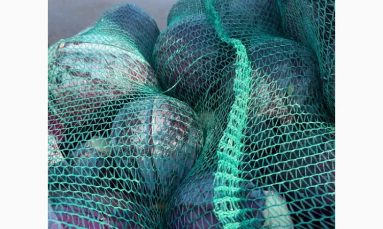 Червоннокачанна капуста оптом - фото № 8