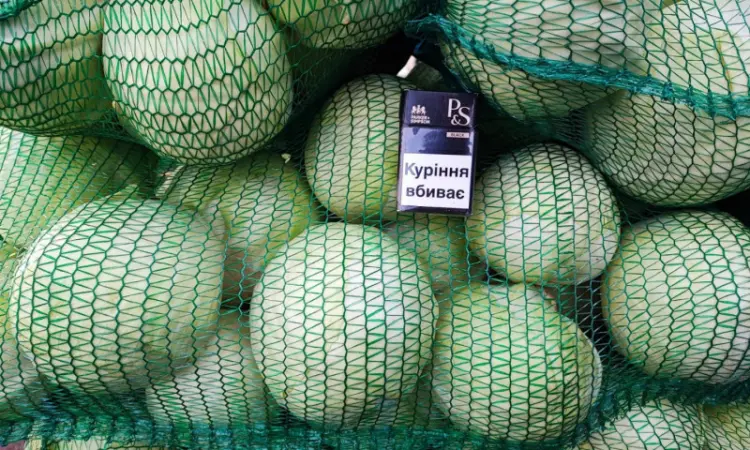 Продаем капусту на торговлю и шинковку - фото № 2