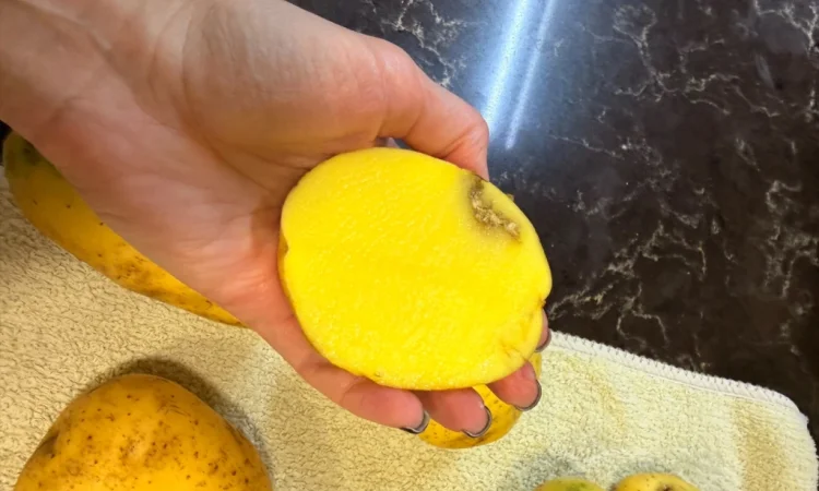 Продаж картоплі 5+ для харчування - фото № 4