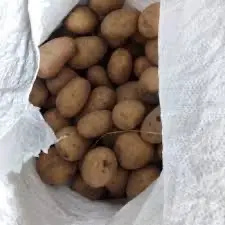 Посадкова картопля Рів’єра Житомирська область купити вигідно - фото № 1