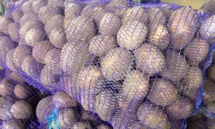 Семенной картофель Аризона 1-2 репродукция - фото № 1