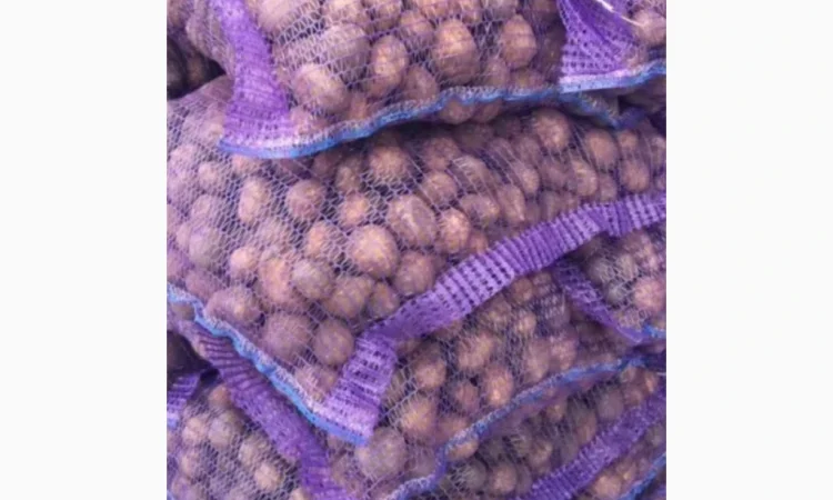 Насіннєва картопля Беллароза 1-2 репродукція - фото № 1