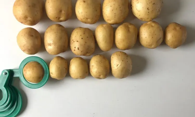 Продам картофель Гала партиями 24 тонны от фермера - фото № 1