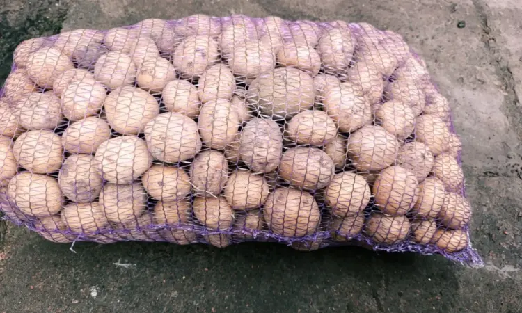 Продам картофель Ривьера посадочный 2 га репродукция - фото № 1