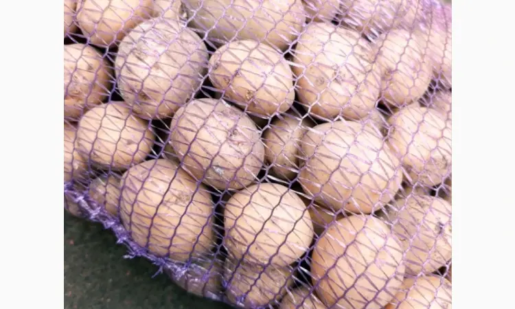 Продам картофель Ривьера посадочный 2 га репродукция - фото № 3