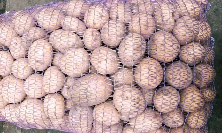 Продам картофель Ривьера посадочный 2 га репродукция - фото № 5