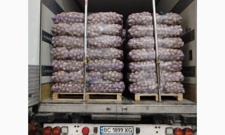 Продаж картоплі пізньої оптом - фото № 3