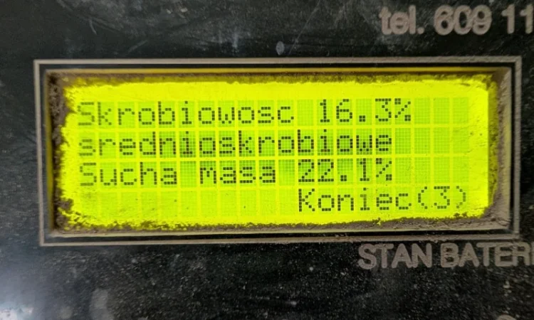 Куплю картоплю сорту Атлантік для чіпсів - фото № 3