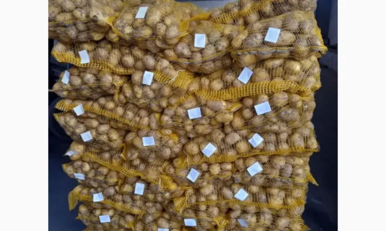 Продам картофель из Польши 0 - фото № 4