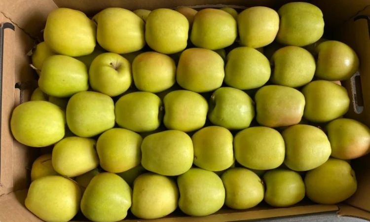 Яблоки, баклажан и сладкий перец от производителя - фото № 2