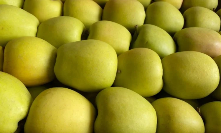 Яблоки, баклажан и сладкий перец от производителя - фото № 3