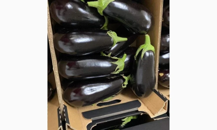 Яблоки, баклажан и сладкий перец от производителя - фото № 4