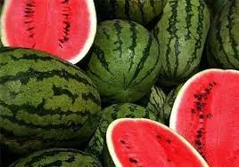 Продаю Херсонський кавун! Поспішайте купити - фото № 1