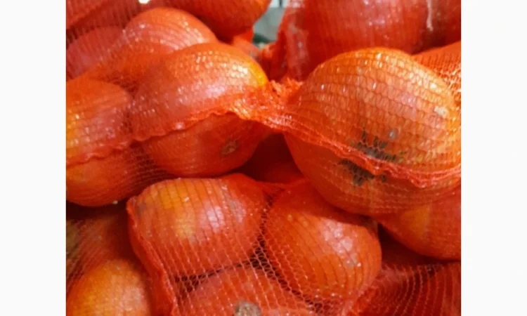 Продаю гарбуз Хоккайдо - фото № 3