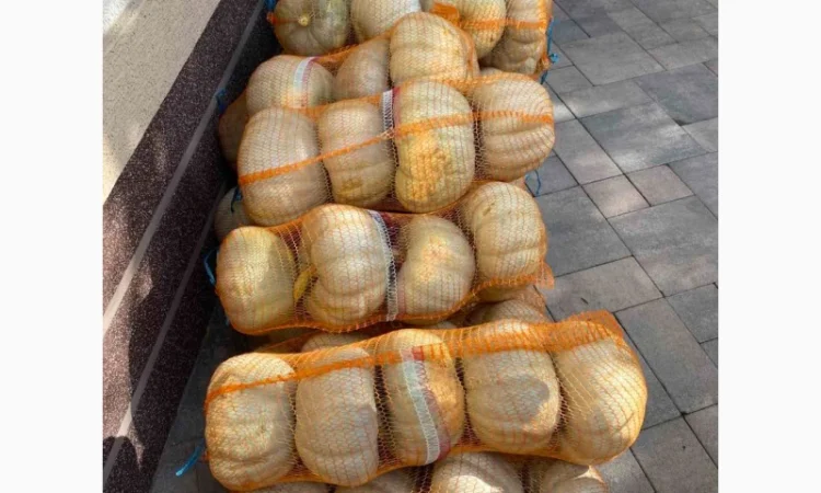 Тыквы различных сортов на продажу - фото № 5