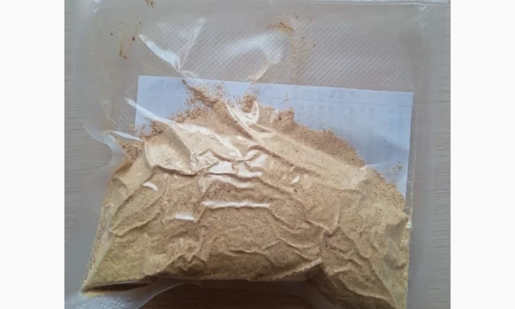 Продаж сушених мухоморів - фото № 3