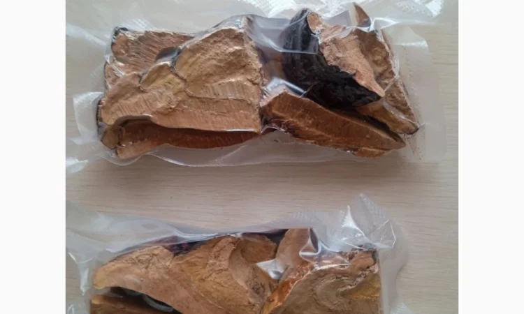 Продаж сушених мухоморів - фото № 5