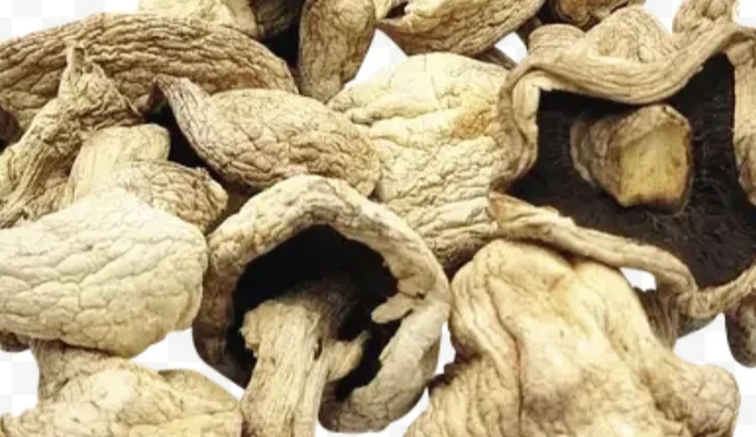 Шампіньйони сушені від виробника - фото № 1