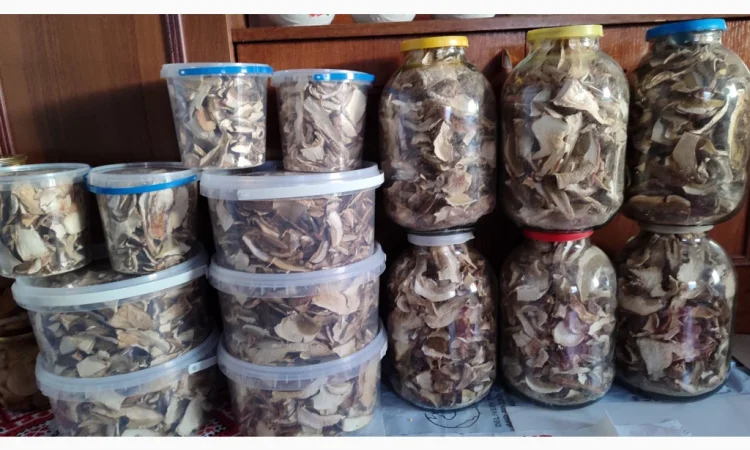 Сушені білі гриби на продажу - фото № 3