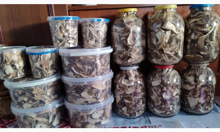 Сушені білі гриби на продажу - фото № 4