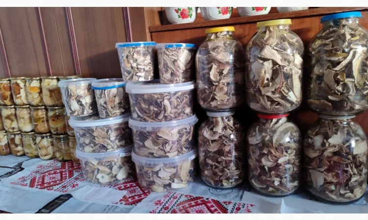 Сушені білі гриби на продажу - фото № 7